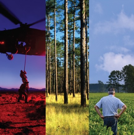 Webinar Preview Image