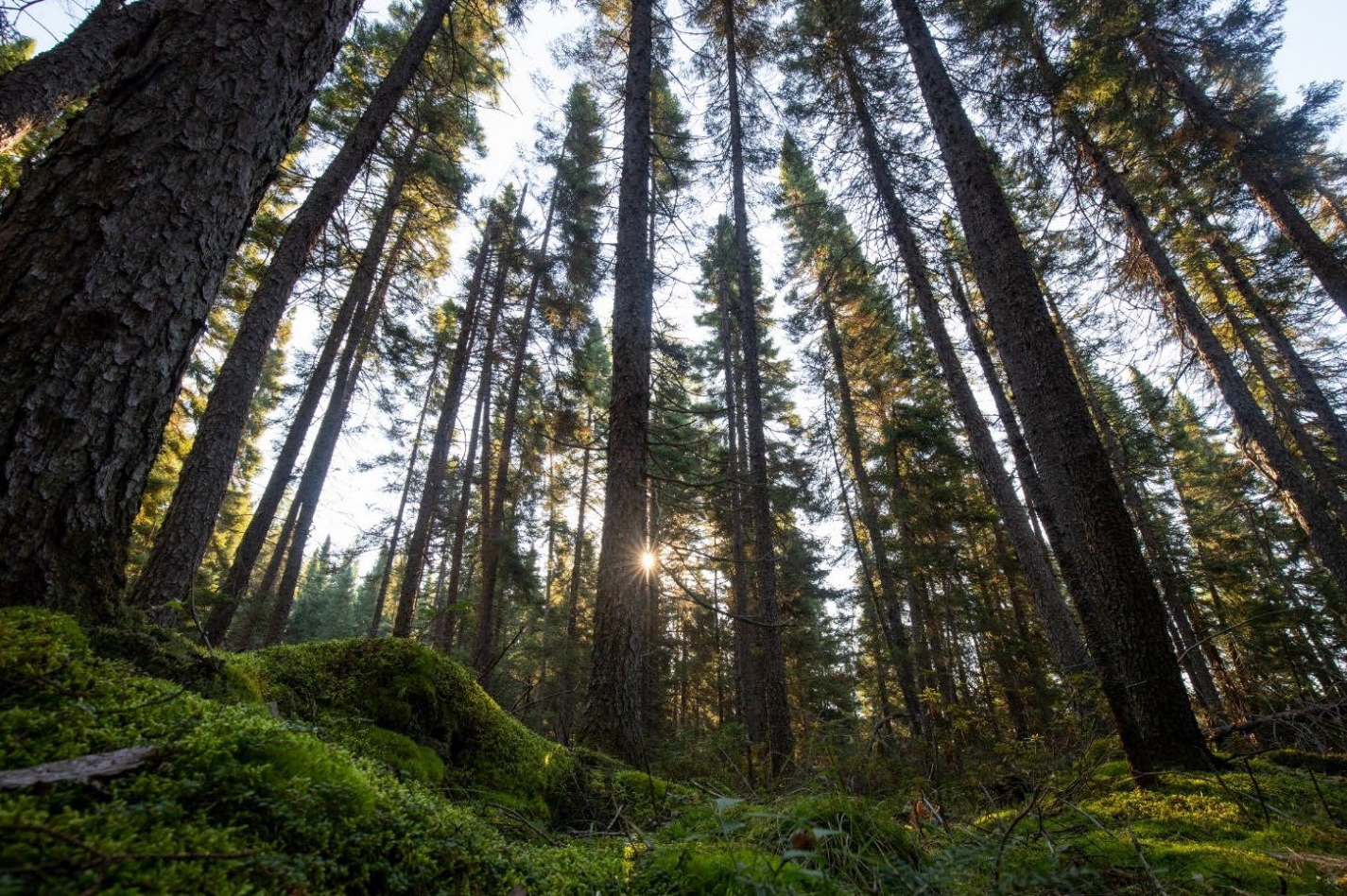 Webinar Preview Image