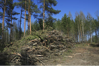 Webinar Preview Image