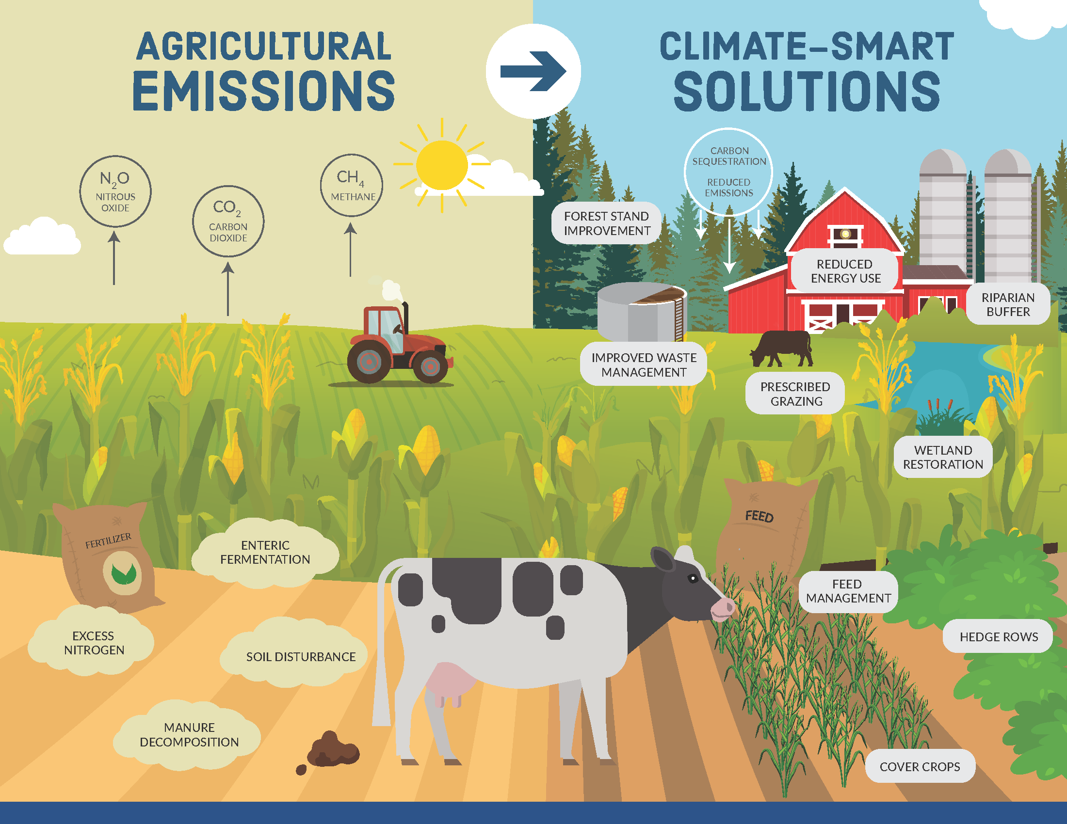 Webinar Preview Image