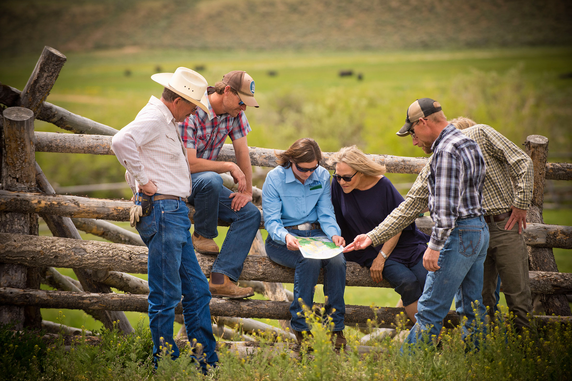 Webinar Preview Image