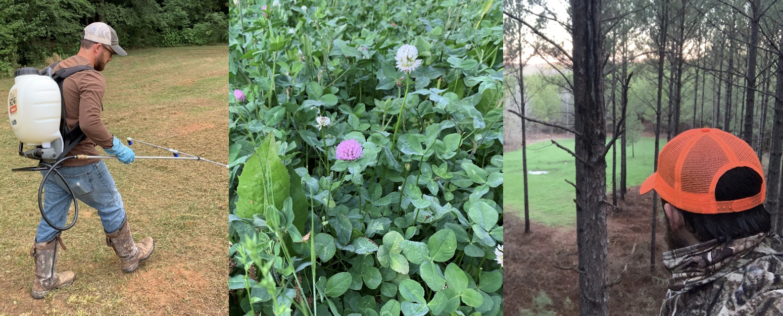 Webinar Preview Image