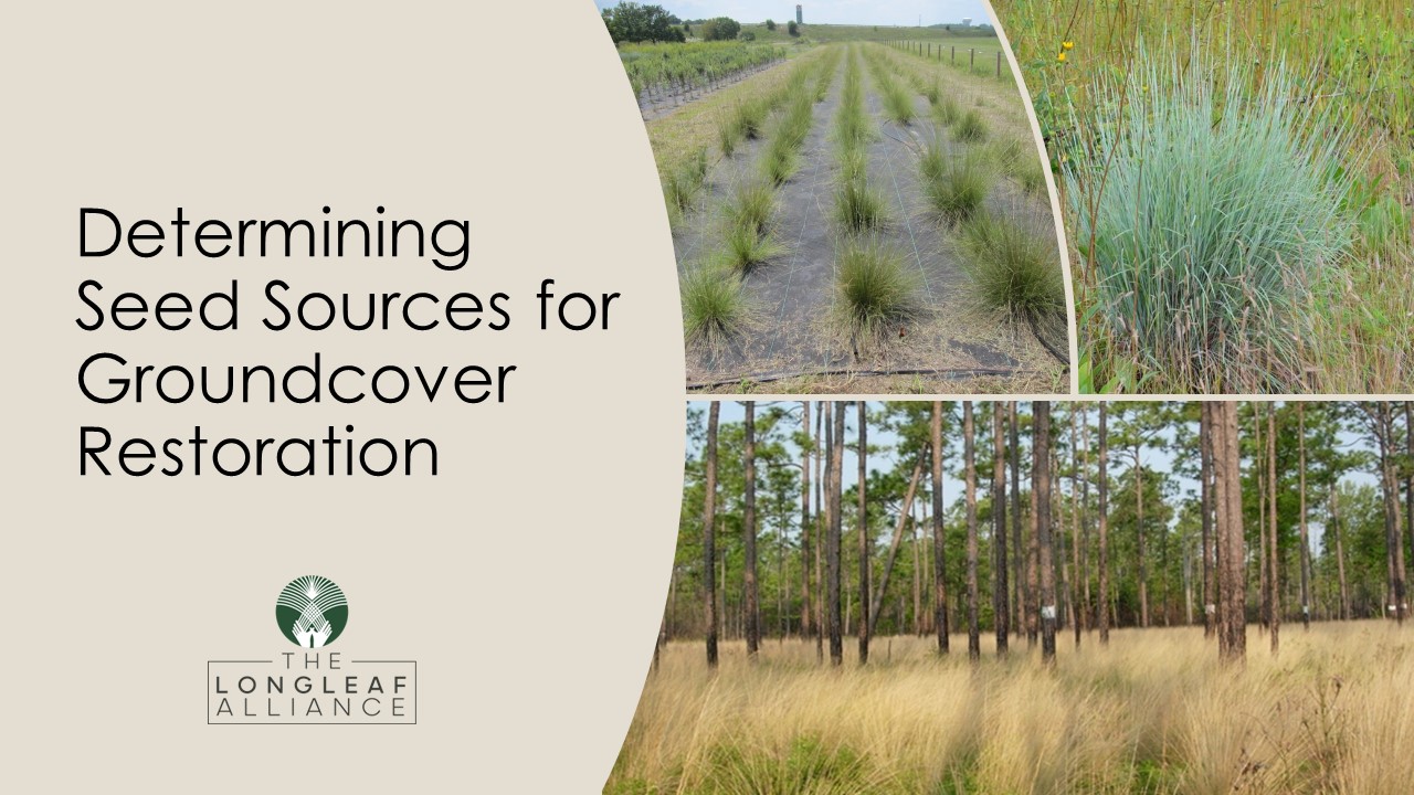 Webinar Preview Image