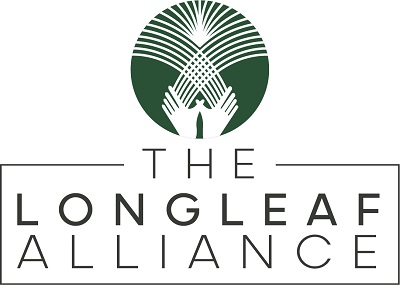 Webinar Sponsor Image