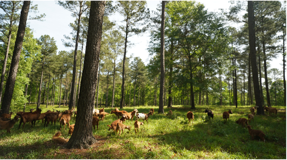 Webinar Preview Image