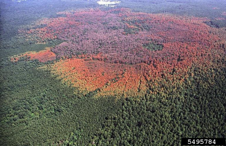 Webinar Preview Image