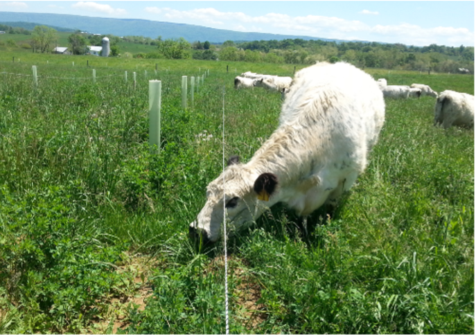 Webinar Preview Image