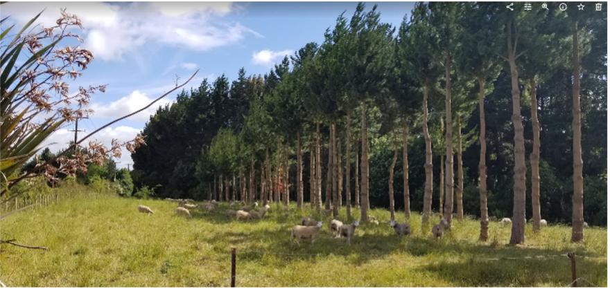 Webinar Preview Image