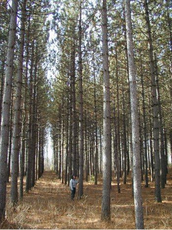 Webinar Preview Image