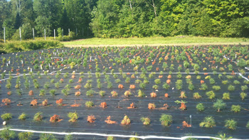 Webinar Preview Image