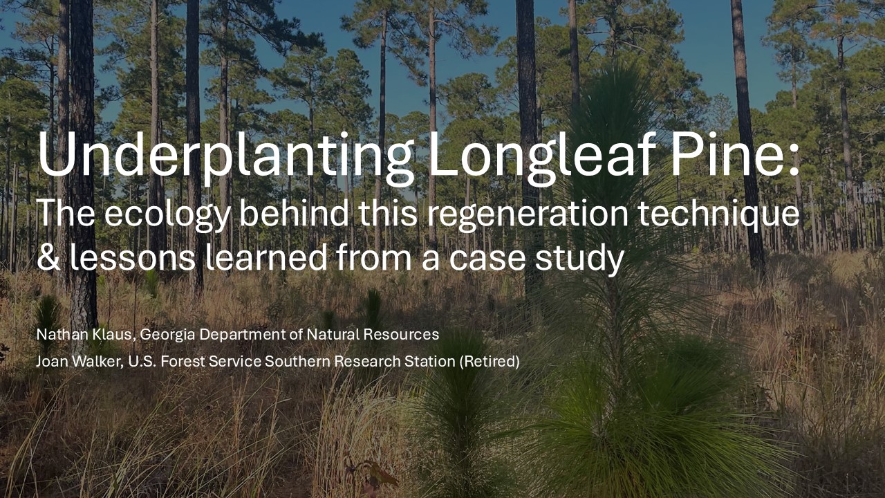 Webinar Preview Image