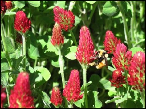 Webinar Preview Image