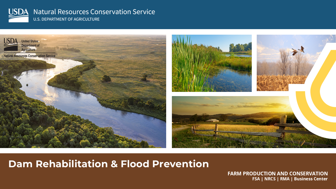 Webinar Preview Image